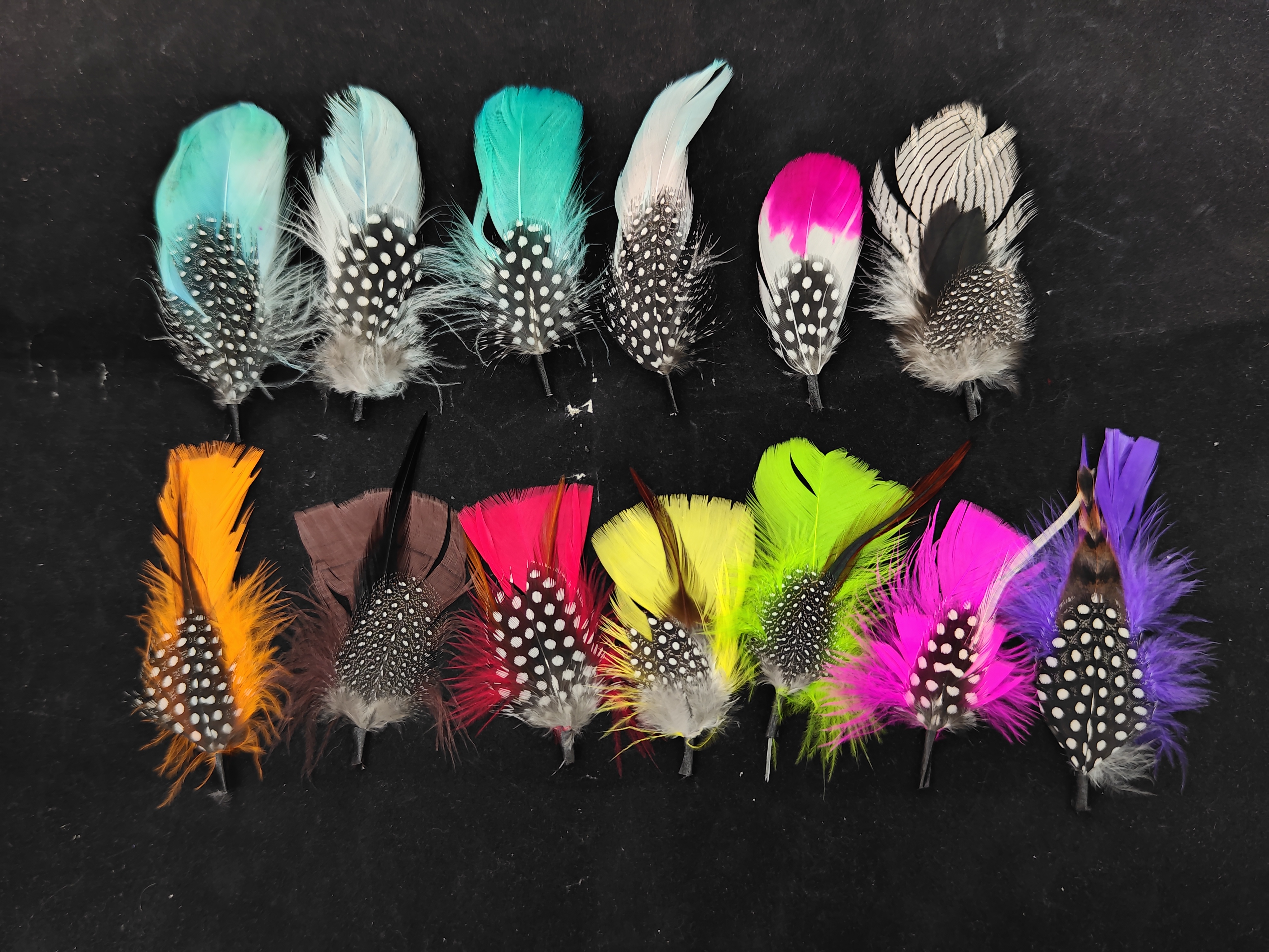 PLUMAS MEDIANAS - 2