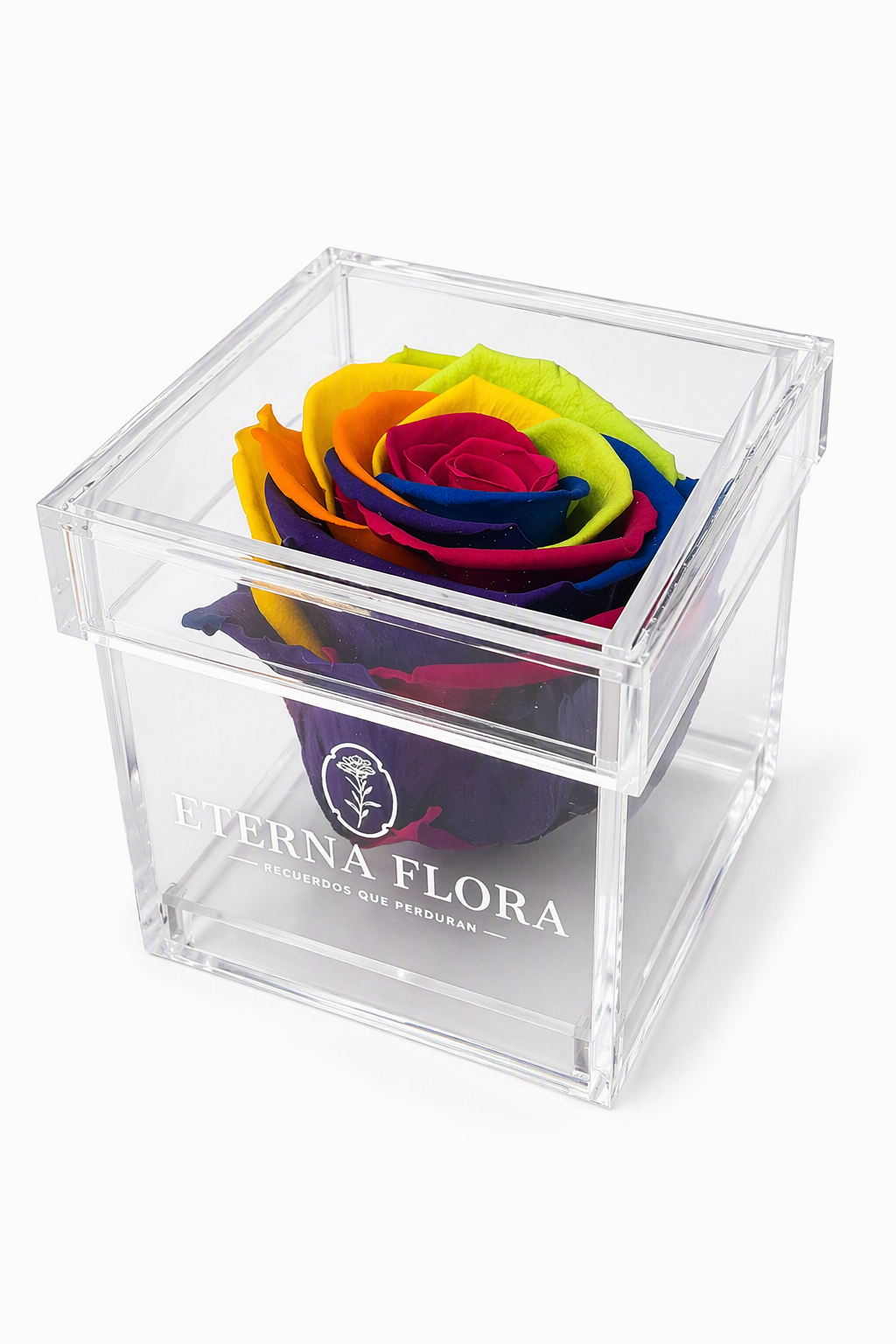 Rosa Individual Rainbow.png