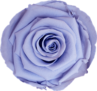 Milka