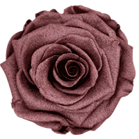 Dusty Red