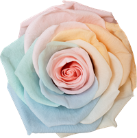 Pastel Rainbow