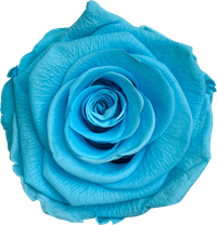 Cyan