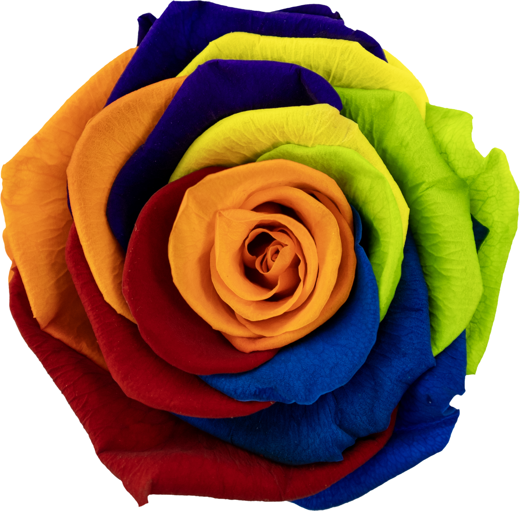 Rainbow.png