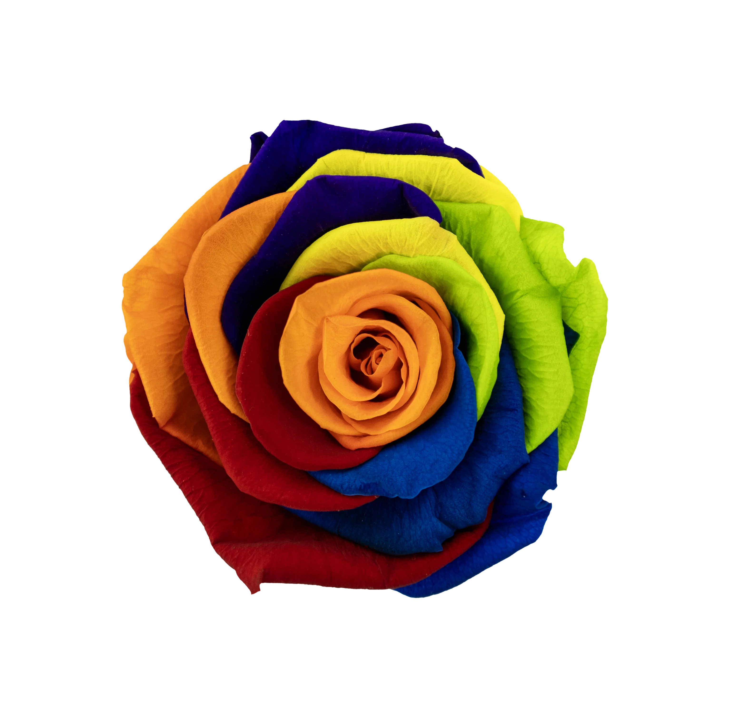 Rainbow.webp