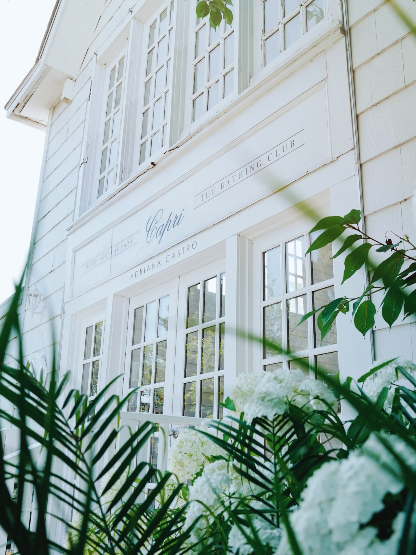 galery image