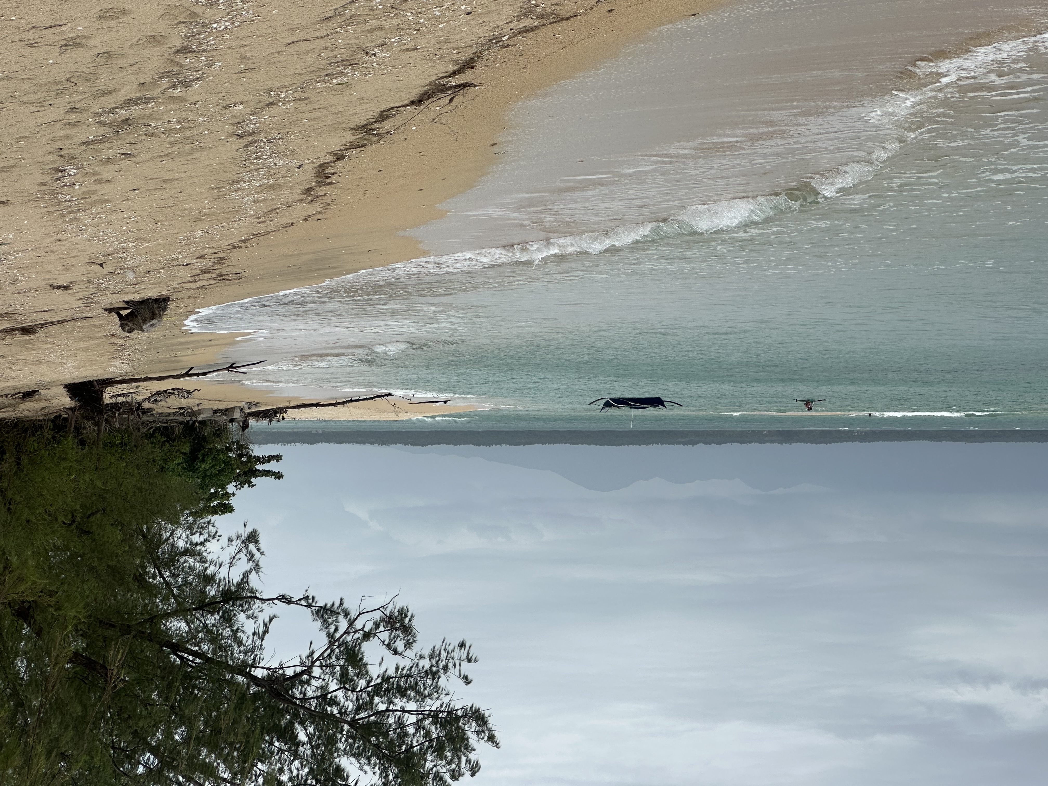 galery image
