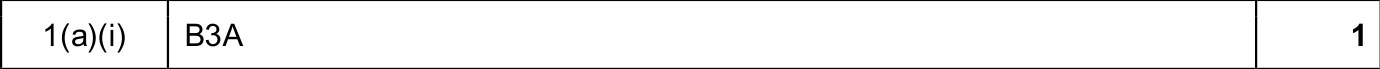 9618_w25_qp_11_sc_1.a.i Mark Scheme Image