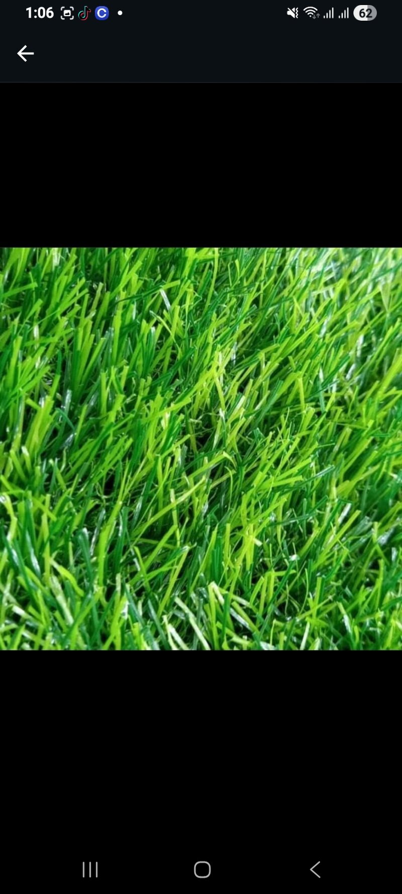 Artificial Grass Premium - Variant 6