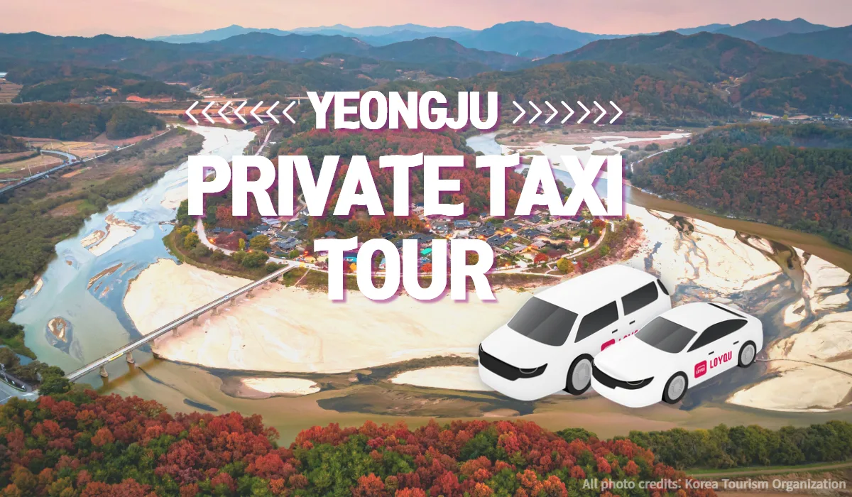 Аренда авто с водителем — Yeongju-si