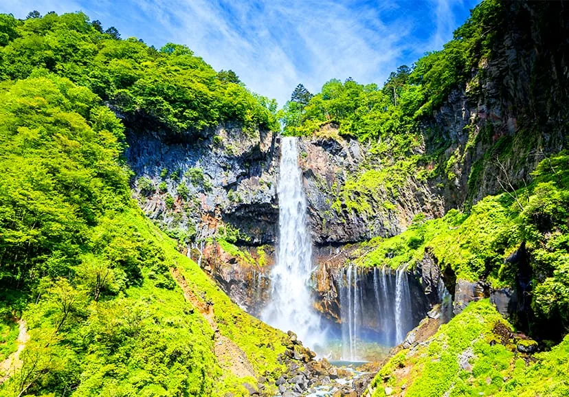 Аренда авто с водителем — Nikko
