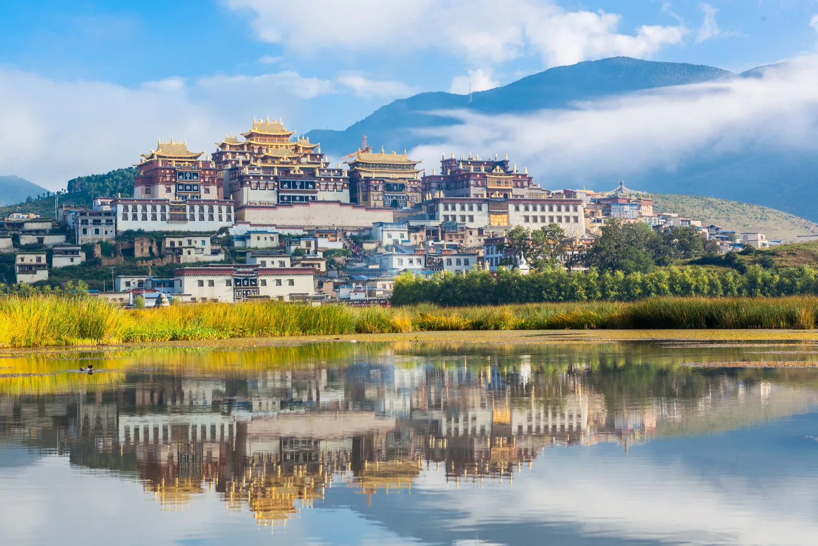 Аренда авто с водителем — Shangri-La County