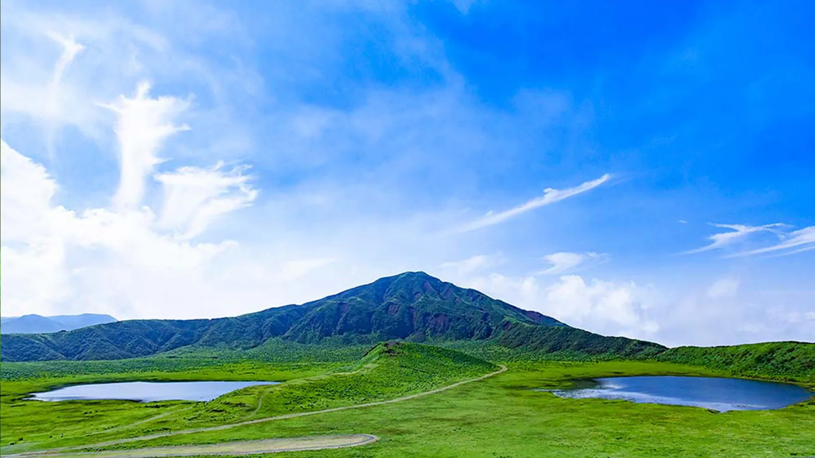 Аренда авто с водителем — Kumamoto