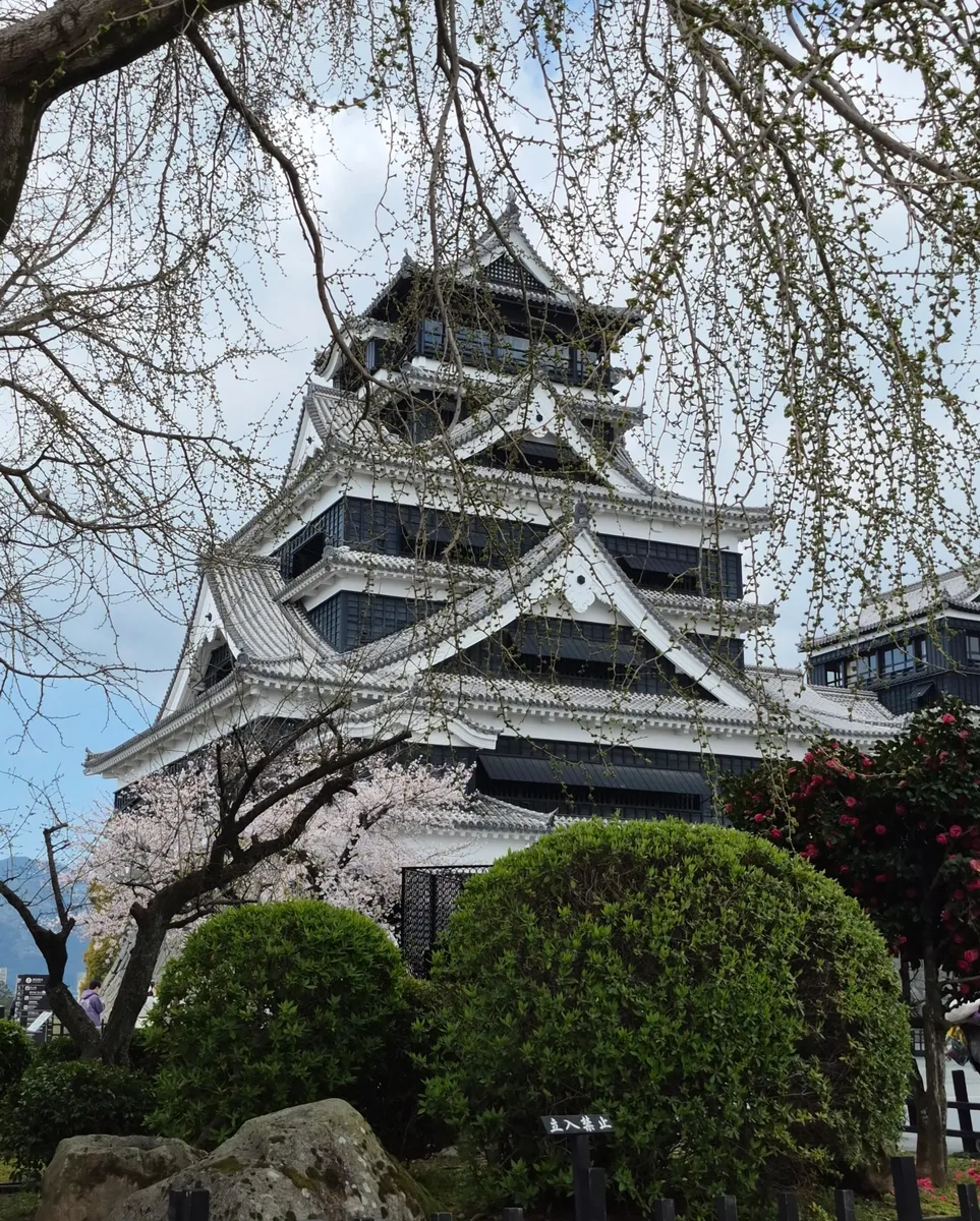 Аренда авто с водителем — Kumamoto