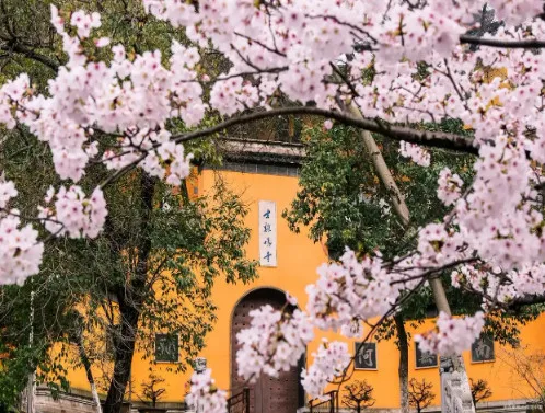 Аренда авто с водителем — Nanjing City
