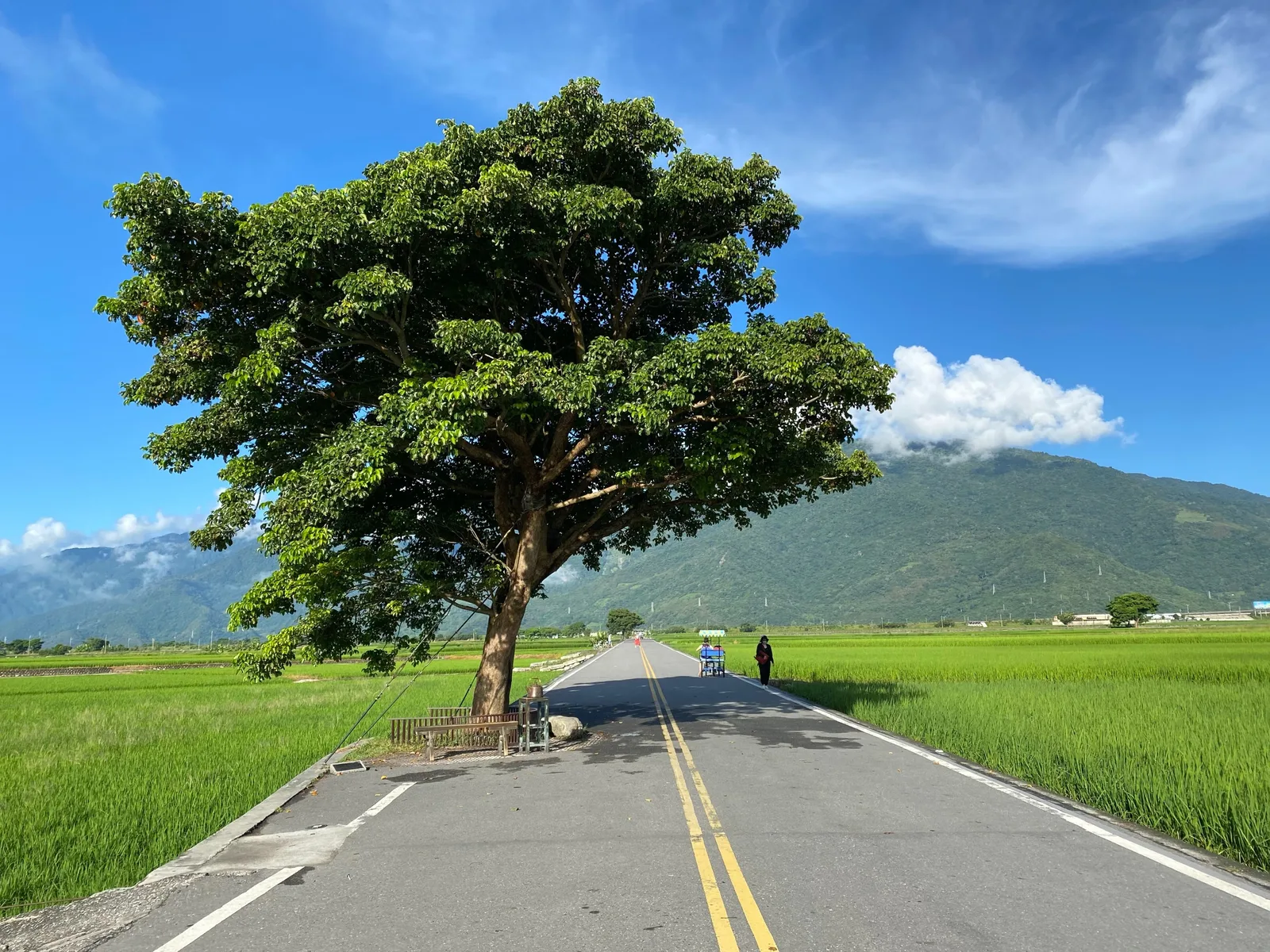 Аренда авто с водителем — Taitung County